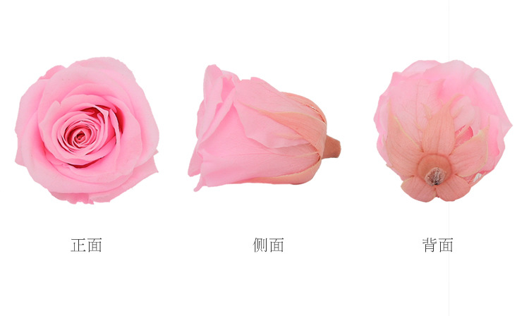 Grade Preserved Fresh Flower Keychain Making Car Hanging Accessories Gift Box Flowers DIY Auxiliary Materials Garland