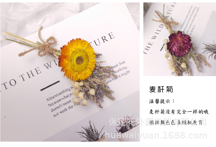 Mini Dried Flowers Bouquet Rose Decoration Gift Box Card Decoration DIY Material Shooting Props Mini Dried Flowers Bouquet Rose Decoration Gift Box Card Decoration DIY Material Shooting Props