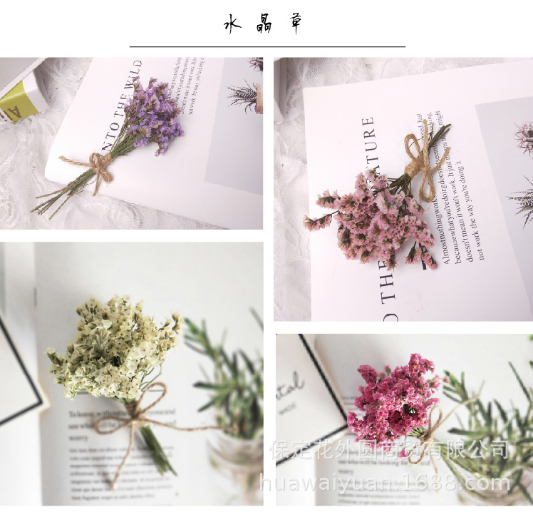 Mini Dried Flowers Bouquet Rose Decoration Gift Box Card Decoration DIY Material Shooting Props Mini Dried Flowers Bouquet Rose Decoration Gift Box Card Decoration DIY Material Shooting Props