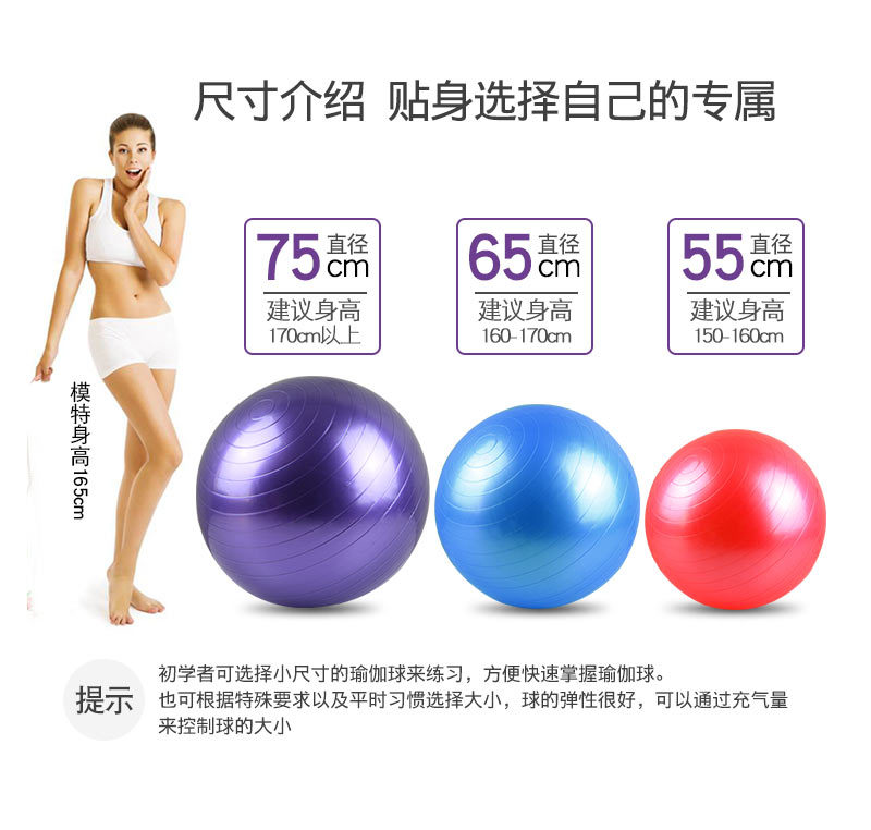 Shanghai Wenjing Customized Production 55cm Yoga Ball 65cm Fitness Ball 75 Dragon Ball 85 Children Massage Sensory Ball