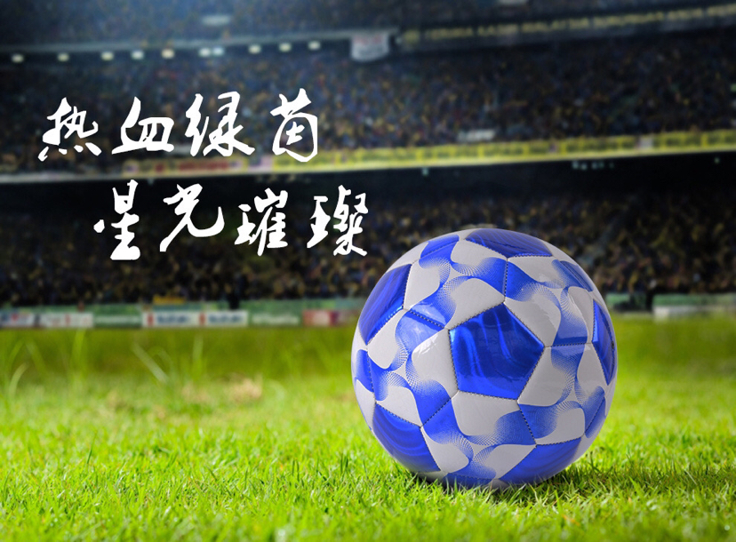 Factory Direct Sales Wholesale Custom Football Adult Primary and Secondary School Children's Competition No. 5 No. 4 No. 3 No. 2 Football