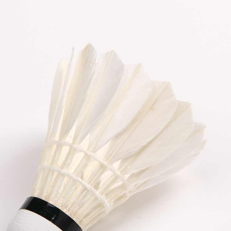 20114 Hot Sale Lai Uses Lai to Play Badminton Factory Direct Sales