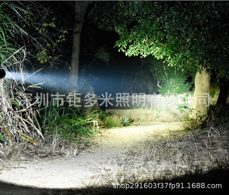 Exclusive for Cross-Border USB Rechargeable L2 Flashlight Long Shot Mini Waterproof Night Riding Hunting Light LED Power Torch