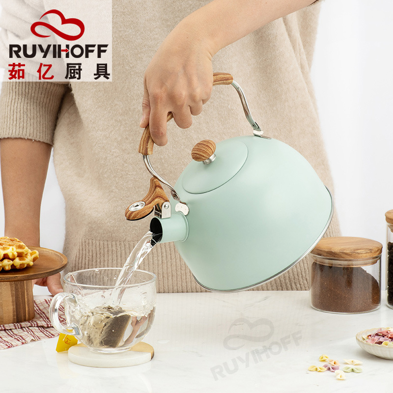 Ruyi Kitchenware New Green Whistle Kettle Nylon Anti-Scald Handle EBay Cross-Border Kitchenware Sound Water Pot