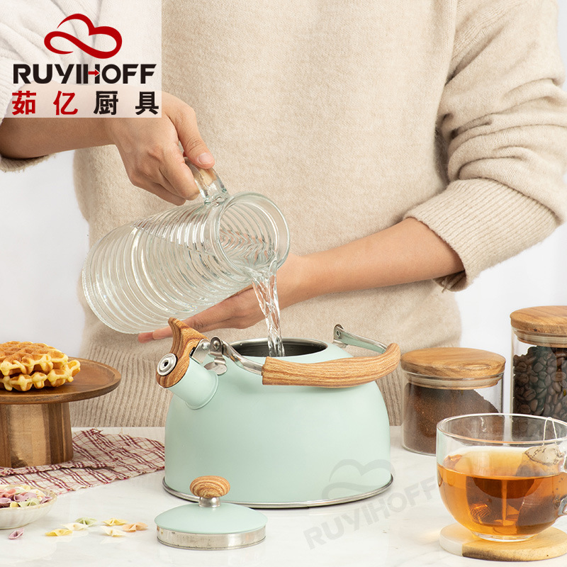 Ruyi Kitchenware New Green Whistle Kettle Nylon Anti-Scald Handle EBay Cross-Border Kitchenware Sound Water Pot