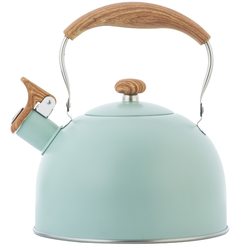 Ruyi Kitchenware New Green Whistle Kettle Nylon Anti-Scald Handle EBay Cross-Border Kitchenware Sound Water Pot