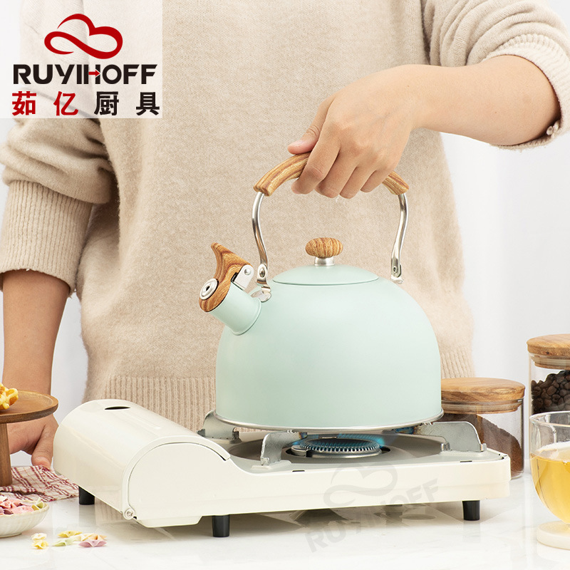Ruyi Kitchenware New Green Whistle Kettle Nylon Anti-Scald Handle EBay Cross-Border Kitchenware Sound Water Pot