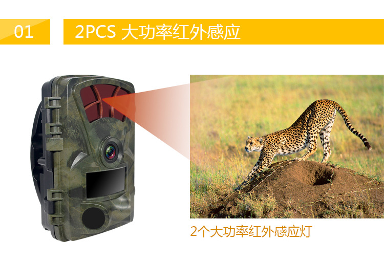 H885 hd waterproof hunting camera infrared surveillance field reconnaissance camera H885 hd waterproof hunting camera infrared surveillance field reconnaissance camera