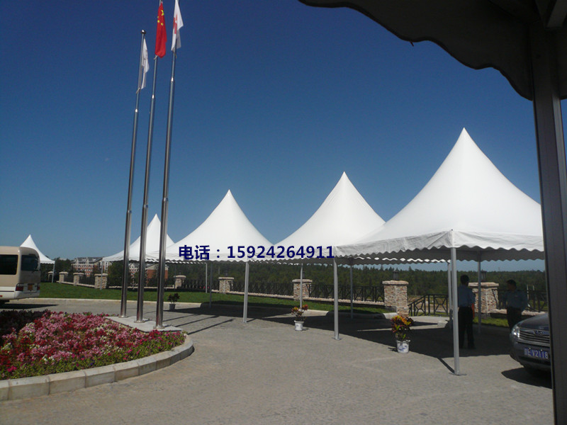 Manufacturers sell outdoor aluminum alloy activity tent fire and moisture proof and ultraviolet ray without cloth tent 4*4m