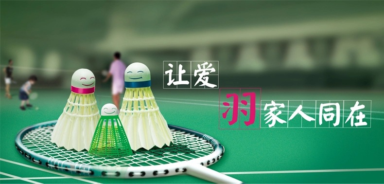 Wholesale 12 cartridges with quality training in badminton Wholesale 12 cartridges with quality training in badminton