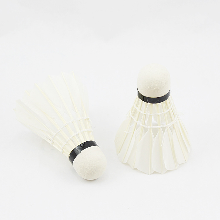 Regal badminton wholesale generous dao ling thick pole 12 barrels 602 Regal badminton wholesale generous dao ling thick pole 12 barrels 602
