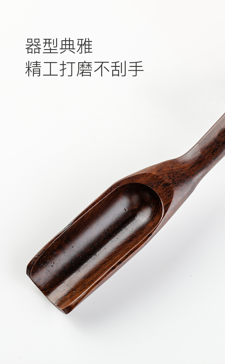 Tea Spoon Tea Shovel Tea Set Tea Spoon Tea Tool Small Size Tea Ware Tea Spoon Tea Spoon Bamboo Tea Spoon Caddy Spoon Tea Spoon Tea Shovel Tea Set Tea Spoon Tea Tool Small Size Tea Ware Tea Spoon Tea Spoon Bamboo Tea Spoon Caddy Spoon