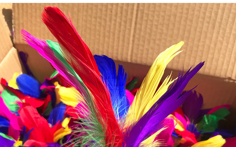 Factory Supply Kick Shuttlecock Student Sporting Goods Colorful Feather Shuttlecock Outdoor Sports 2 Yuan Department Store Wholesale Factory Supply Kick Shuttlecock Student Sporting Goods Colorful Feather Shuttlecock Outdoor Sports 2 Yuan Department Store Wholesale