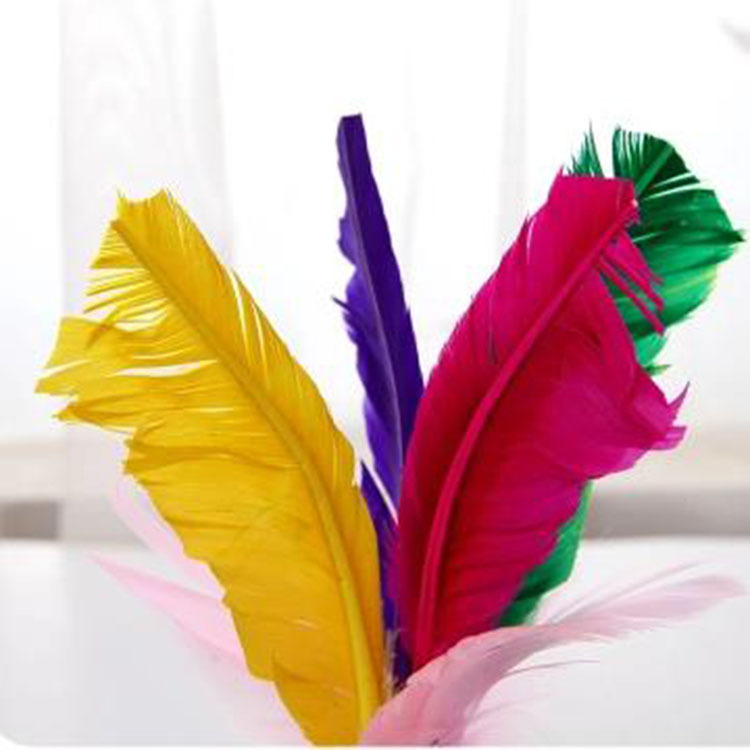 Children&#039;s Fitness Kick-Resistant Competition Key Feather Key Shuttlecock Jianzi Shuttlecock Goose Feather Dire Shuttlecock Shuttlecock Plush