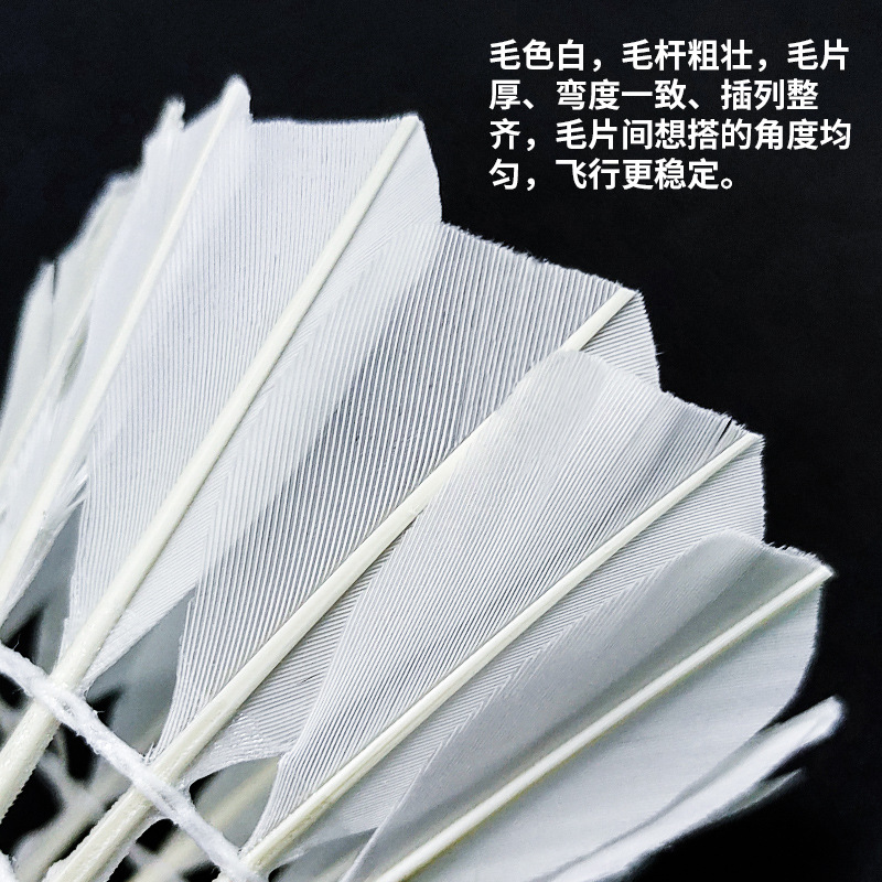 Factory Wholesale Badminton 3 Pack Durable Durable Indoor and Outdoor Training Special Shuttlecock Sports Competition Ball