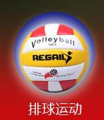 Tennis Trainer Ball Single Person Tennis Trainer Tennis Self-Study Rebound the Tennis Sparring the Currently Available Seconds Hair
