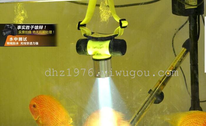 Head lamp, wearing a diving shot from strong light lamp light hunting lamp 10W charging T6 fishing lithium-ion 18650 