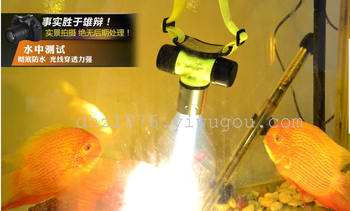 Head lamp, wearing a diving shot from strong light lamp light hunting lamp 10W charging T6 fishing lithium-ion 18650 
