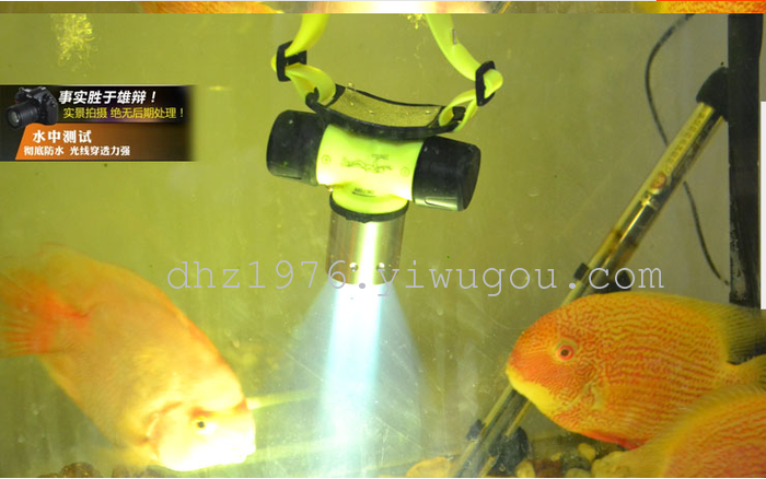 Head lamp, wearing a diving shot from strong light lamp light hunting lamp 10W charging T6 fishing lithium-ion 18650 