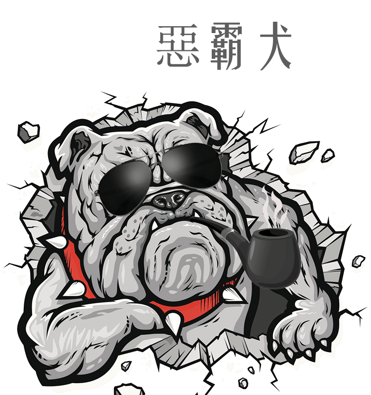 Car bully dog set up a car creative cool trend personality social dog