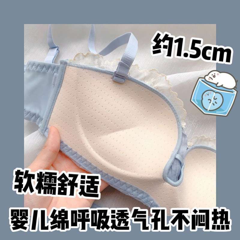 Japanese and Korean Beauty Back Underwear Small Chest Gathered Paper Cup Multi-Layer Wireless Girl Pure Desire Sexy Accessory Breast Push up Bra Bra