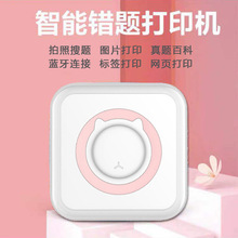 Cross-Border New Arrival Wrong Question Printer Pocket Mini Student Photo Information Note Thermal Printer Manufacturer