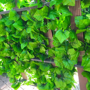 Simulation Plant Wall Eucalyptus Background Wall Plastic Fake Lawn Green Plant Wall Door Head Indoor Shop Recruiting Plants Flower Wall
