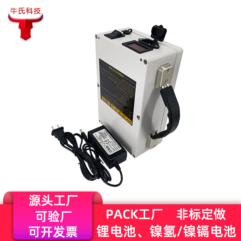 24V 48V 15ah 20ah Lithium Battery Lawn Mower Restaurant Robot Power Elderly Scooter Battery