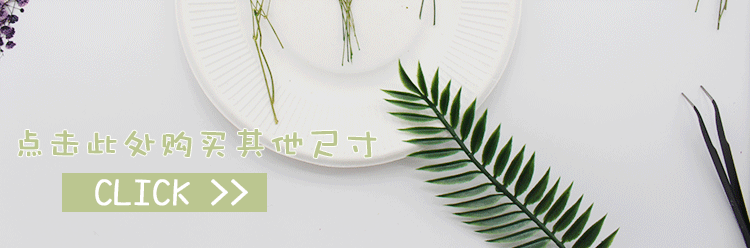 Flower Pressed Flower Natural Plant Teaching Specimen DIY Epoxy Phone Case Photo Frame Children 'S Activity Material