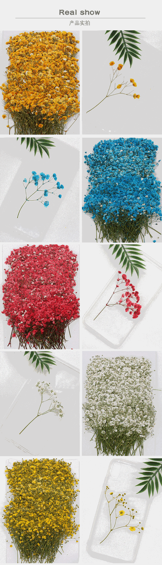 Flower Pressed Flower Natural Plant Teaching Specimen DIY Epoxy Phone Case Photo Frame Children 'S Activity Material