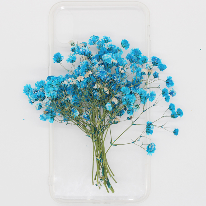 Flower Pressed Flower Natural Plant Teaching Specimen DIY Epoxy Phone Case Photo Frame Children &#039;S Activity Material