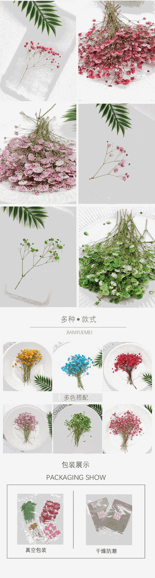 Flower Pressed Flower Natural Plant Teaching Specimen DIY Epoxy Phone Case Photo Frame Children 'S Activity Material
