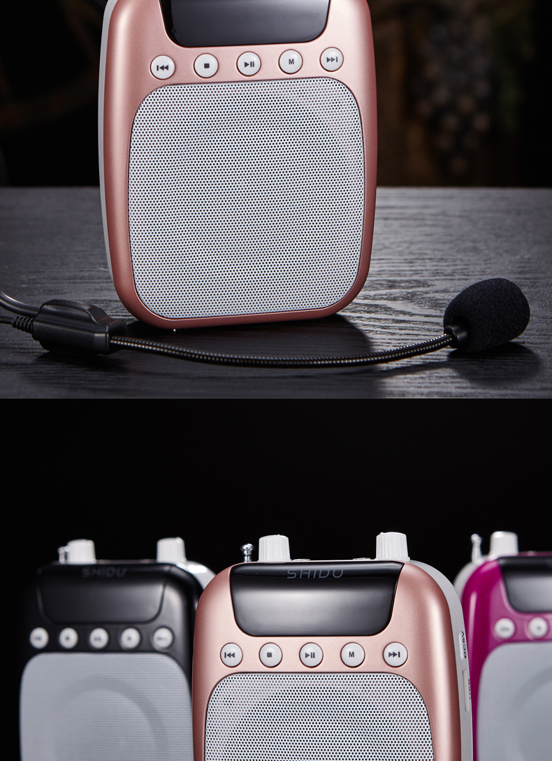 Ten Degrees S358 FM Wireless Loudspeaker Little Bee Teacher Special Teaching High-Power Guide Sound Amplifier