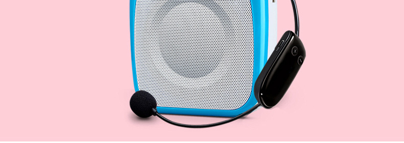 Ten Degrees S358 FM Wireless Loudspeaker Little Bee Teacher Special Teaching High-Power Guide Sound Amplifier