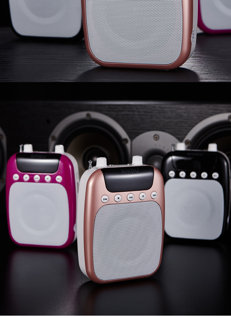 Ten Degrees S358 FM Wireless Loudspeaker Little Bee Teacher Special Teaching High-Power Guide Sound Amplifier