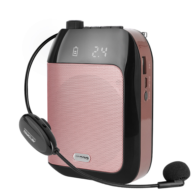 T9 2.4G Bluetooth High Power Wireless Loudspeaker Teaching Guide Bee Epidemic Prevention Reserve Price New Product