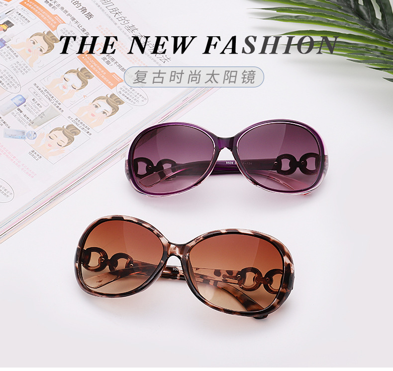Factory Production Sun Shade Sunglasses Double Ring Sunglasses Aviator Glasses Goggles Fashion Trend Plastic Large Frame Korean New