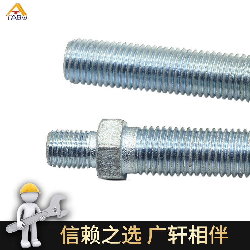 Non-Standard Stud Lengthened Hot Dip Galvanized Middle Nut Carbon Steel Screw High Strength Two-Start Worm Building Accessories