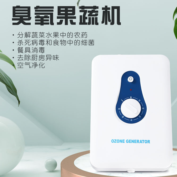 and Vegetable Detoxification Machine Household Fruit Vegetable Cleaning Machine 600Mg Ozone Generator Air Purifier OEM