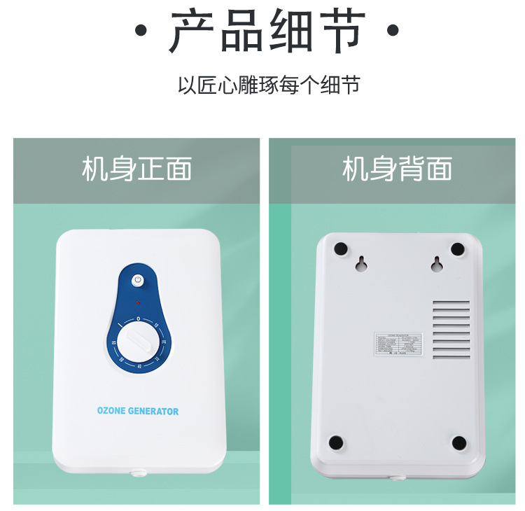 and Vegetable Detoxification Machine Household Fruit Vegetable Cleaning Machine 600Mg Ozone Generator Air Purifier OEM