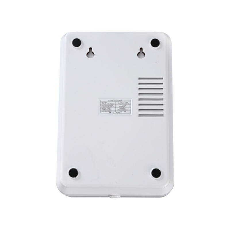 and Vegetable Detoxification Machine Household Fruit Vegetable Cleaning Machine 600Mg Ozone Generator Air Purifier OEM