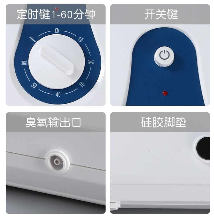 and Vegetable Detoxification Machine Household Fruit Vegetable Cleaning Machine 600Mg Ozone Generator Air Purifier OEM