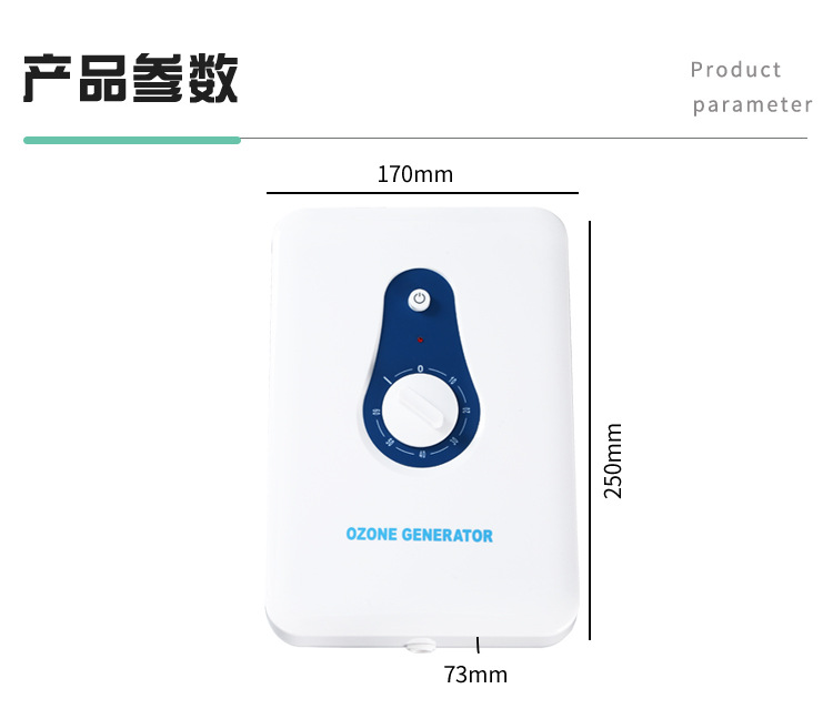 and Vegetable Detoxification Machine Household Fruit Vegetable Cleaning Machine 600Mg Ozone Generator Air Purifier OEM