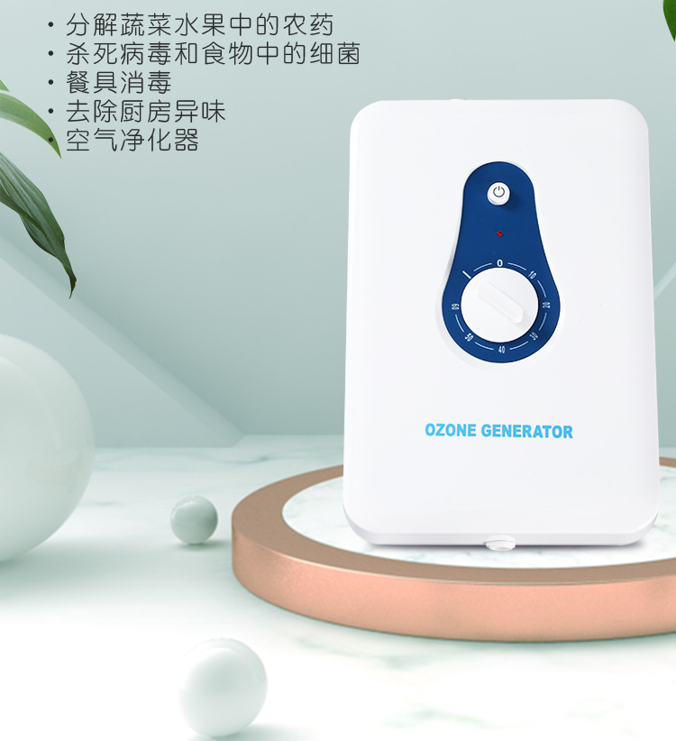 and Vegetable Detoxification Machine Household Fruit Vegetable Cleaning Machine 600Mg Ozone Generator Air Purifier OEM