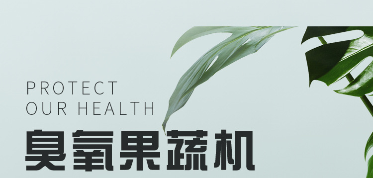 and Vegetable Detoxification Machine Household Fruit Vegetable Cleaning Machine 600Mg Ozone Generator Air Purifier OEM