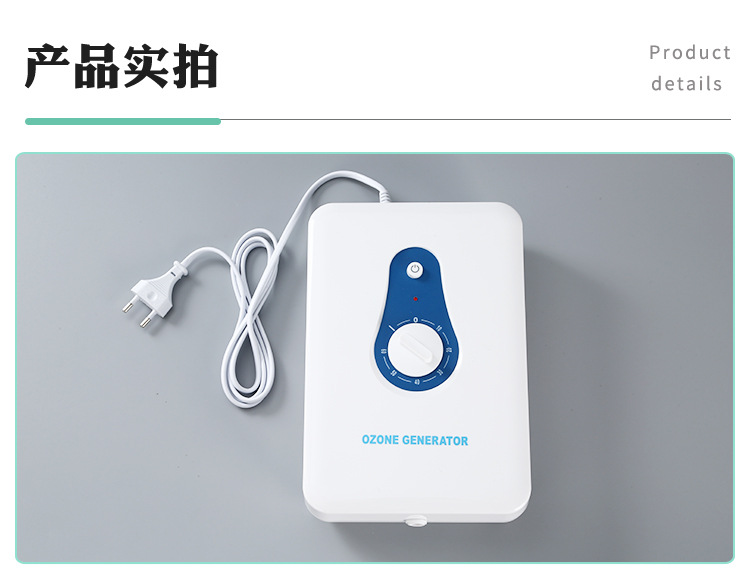 and Vegetable Detoxification Machine Household Fruit Vegetable Cleaning Machine 600Mg Ozone Generator Air Purifier OEM