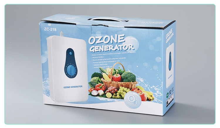 and Vegetable Detoxification Machine Household Fruit Vegetable Cleaning Machine 600Mg Ozone Generator Air Purifier OEM