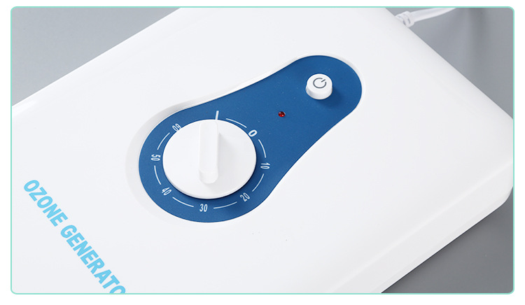 and Vegetable Detoxification Machine Household Fruit Vegetable Cleaning Machine 600Mg Ozone Generator Air Purifier OEM