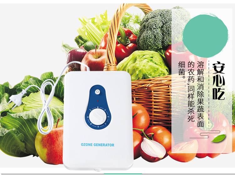 and Vegetable Detoxification Machine Household Fruit Vegetable Cleaning Machine 600Mg Ozone Generator Air Purifier OEM