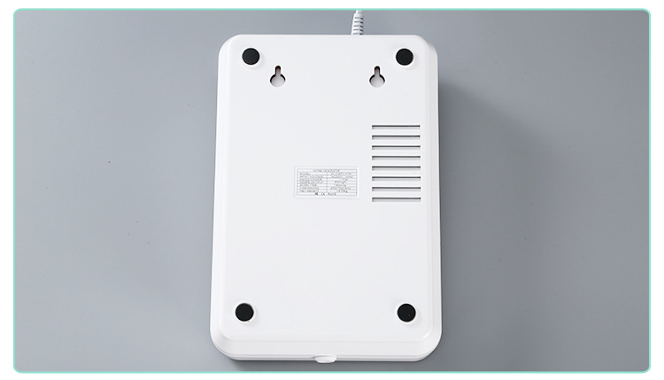 and Vegetable Detoxification Machine Household Fruit Vegetable Cleaning Machine 600Mg Ozone Generator Air Purifier OEM